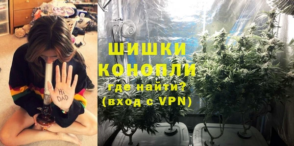 PSILOCYBIN Армянск