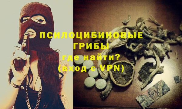 PSILOCYBIN Армянск