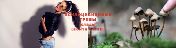 PSILOCYBIN Армянск