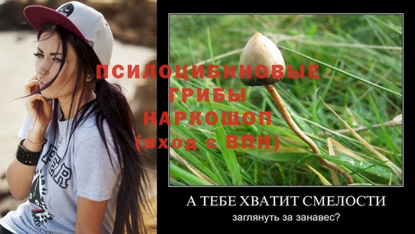 дурь Арсеньев