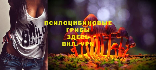 PSILOCYBIN Армянск