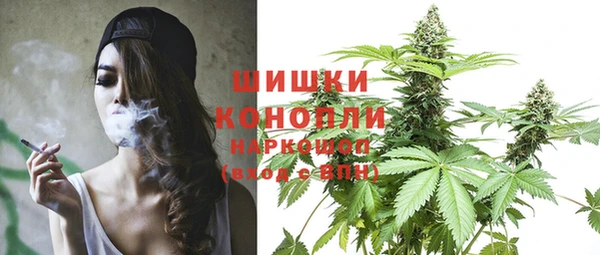 PSILOCYBIN Армянск
